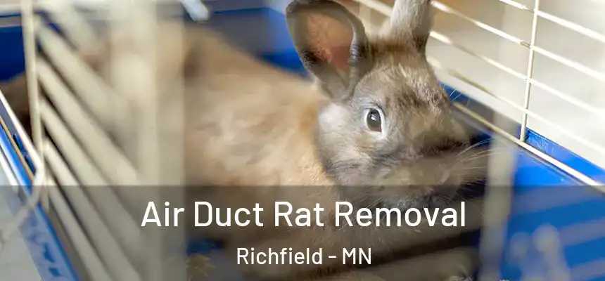  Air Duct Rat Removal Richfield - MN