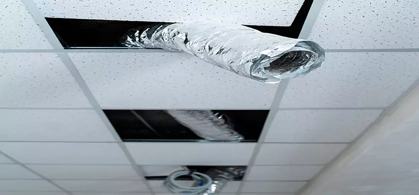 Our Air Duct Pet Hair Removal Services in Richfield, MN