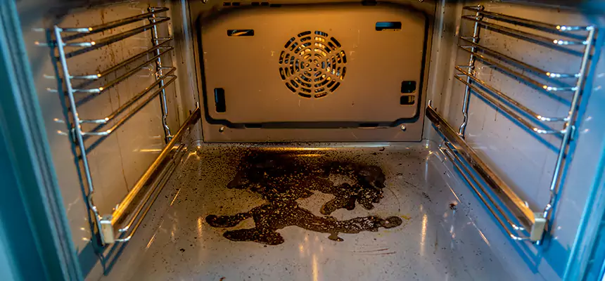 Our Dryer Vent Mold Cleaning Services in Richfield, MN