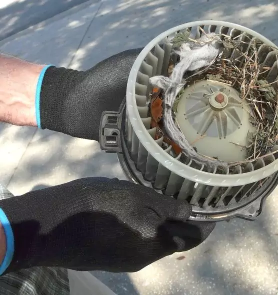 About Air Duct Mice Removal in Richfield, MN