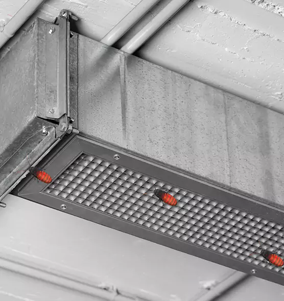 Affordable Insect Removal from Air Ducts in Richfield, MN