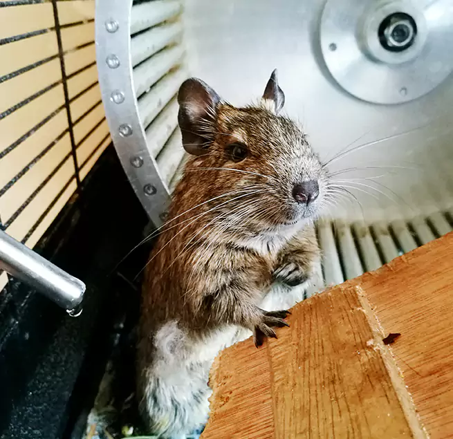 Why Homeowners & Businesses Trust Us Richfield, MN?